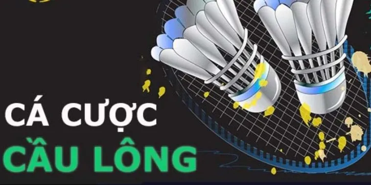 Hướng Dẫn Cách Chơi Cá Cược Cầu Lông Tại 28Win Chi Tiết Nhất