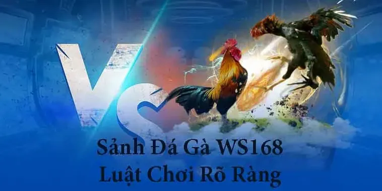 Tuyệt Chiêu Chơi Đá Gà WS168 Tại 28Win Thắng Lớn Mỗi Ngày
