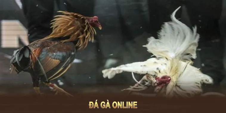 Tuyệt Chiêu Cách Chơi Đá Gà GA28 Tại 28Win Bất Bại Mọi Kèo